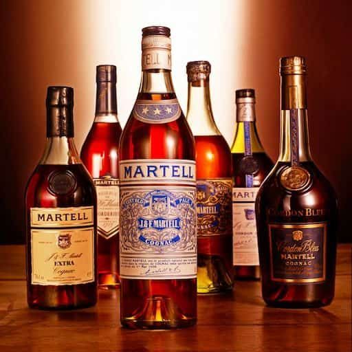 Explore the world's largest brandy companies and brands, including E. & J. Gallo Winery, Pernod Ricard, Beam Suntory, Diageo, and Emperador Inc. Discover their market impact, key brands, and global presence in this comprehensive report.