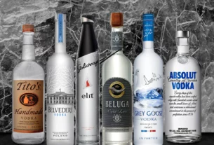 Explore the world's largest vodka companies and brands, including Diageo, Pernod Ricard, Russki Standard, Belvedere, and Tito's Handmade Vodka. Discover their market impact, key brands, and global presence in this comprehensive report.